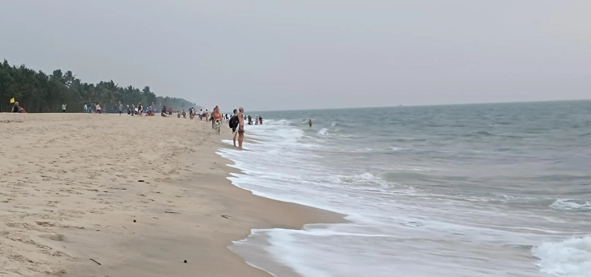 Oasis Beach Villa Marari Mararikulam Inde